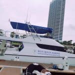 Boat Bluequeenmarine 26